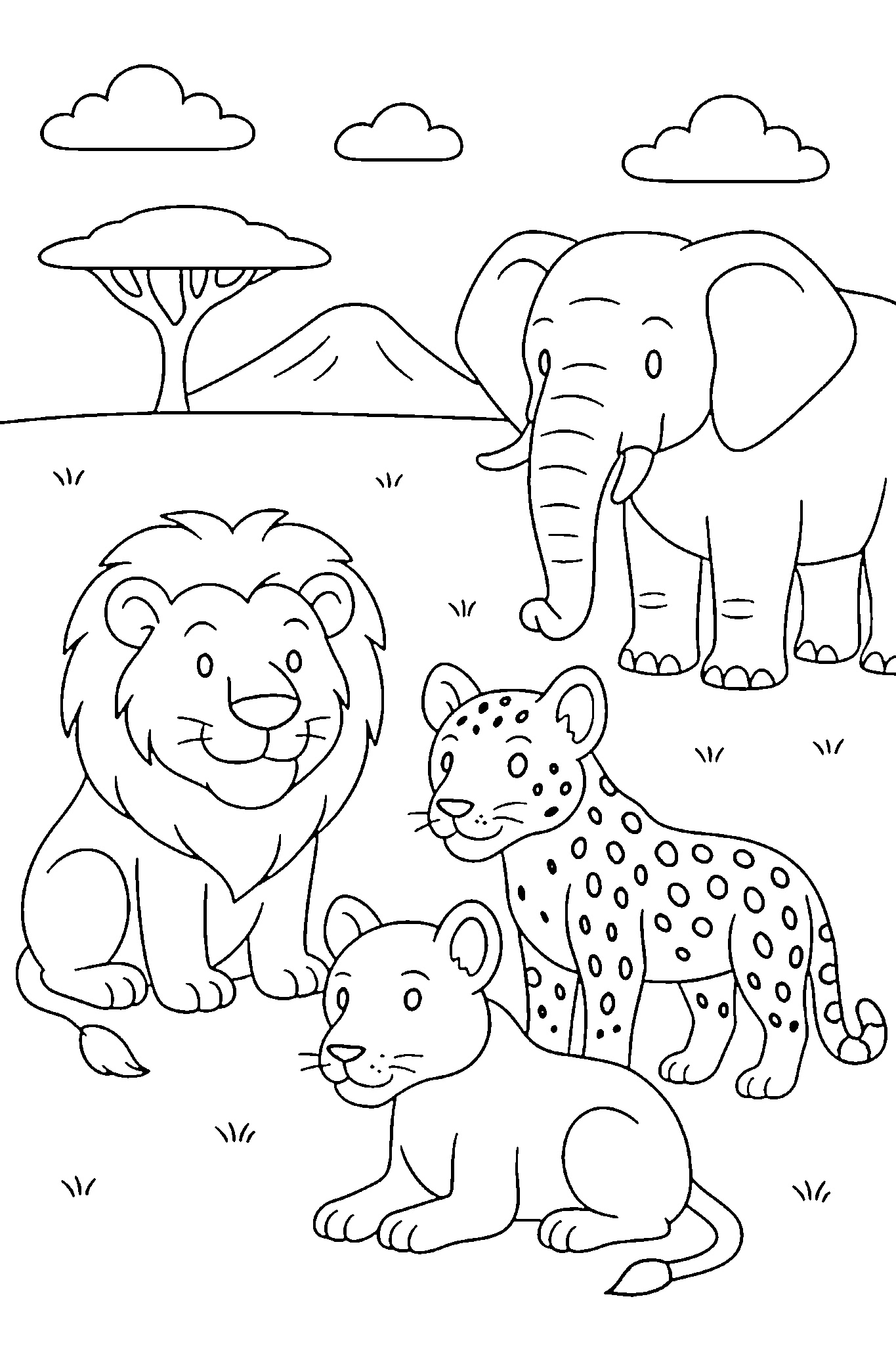 singa macan tutul gajah binatang hewan liar
